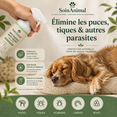 Concentré Anti-Puces & Anti-Tiques SoinAnimal