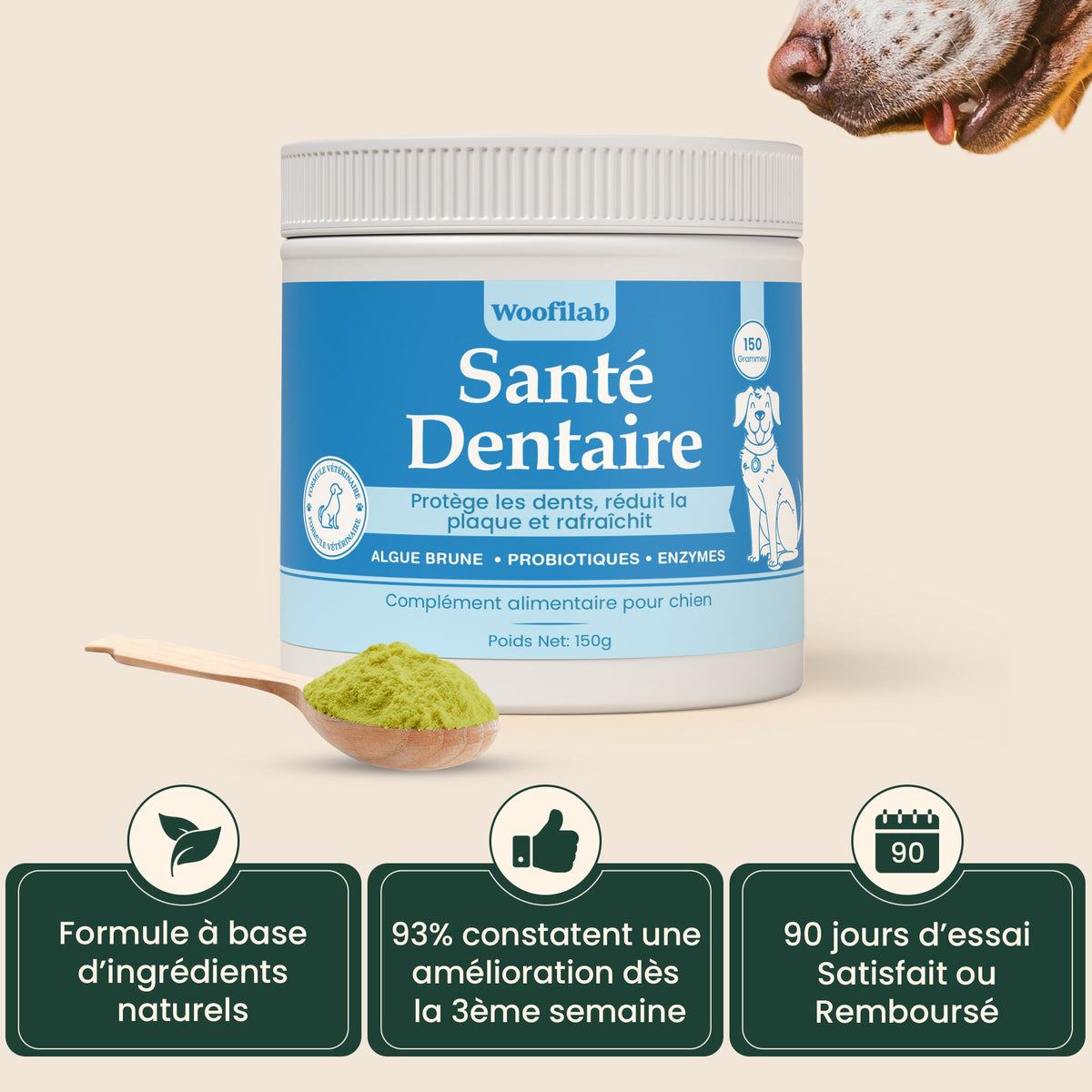Santé Dentaire