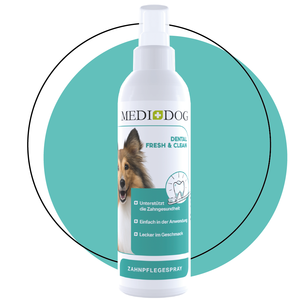 Medidog Dental Fresh & Clean 250 ml