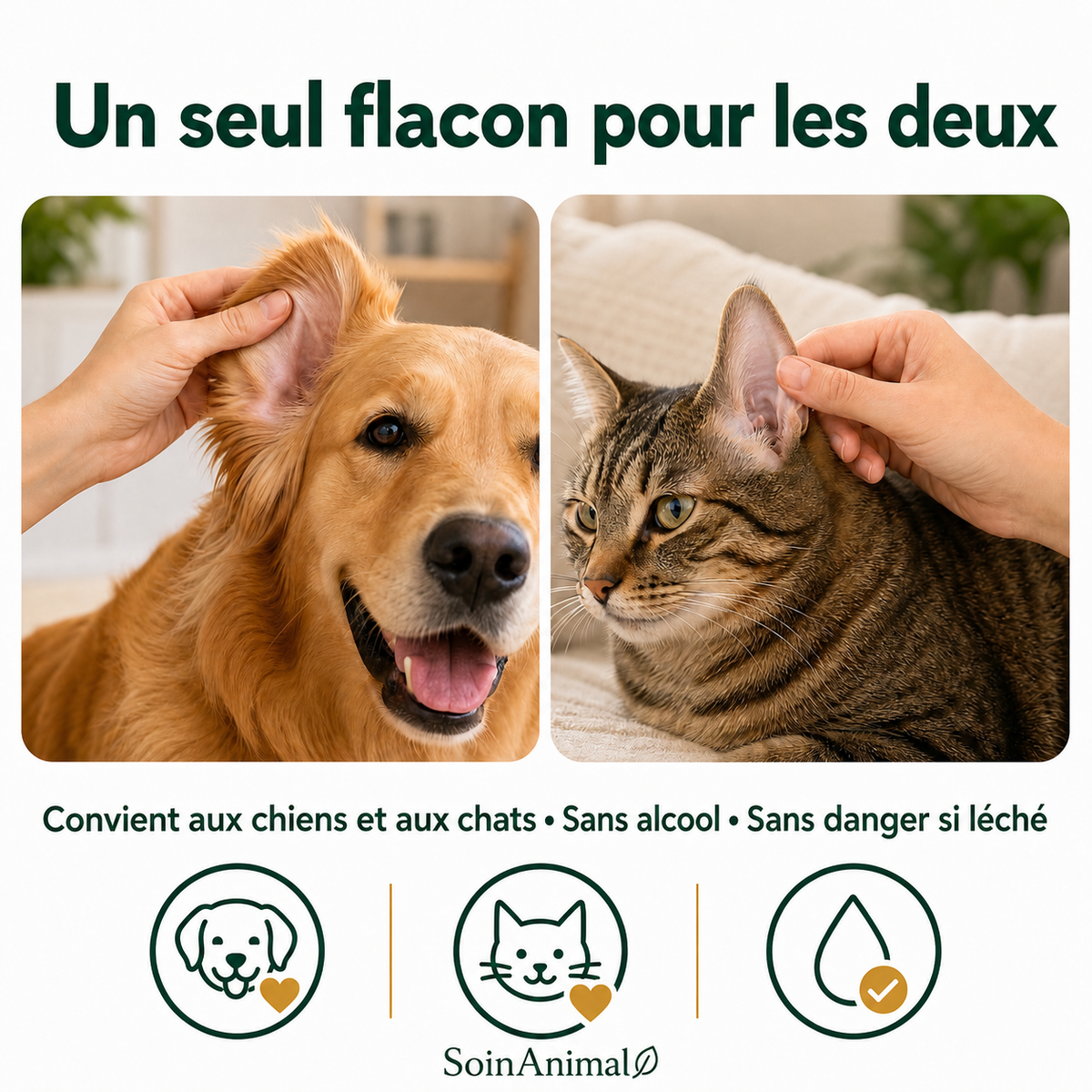 Lotion nettoyante pour les oreilles des chiens et chats – SoinAnimal™