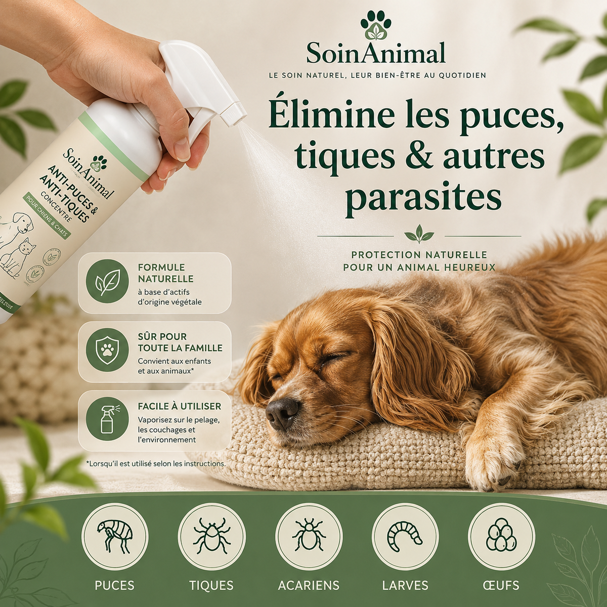 Concentré Anti-Puces & Anti-Tiques SoinAnimal
