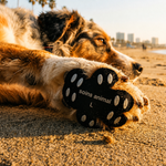 Protections pour coussinets de pattes de chien