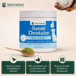 Santé Dentaire pour Chiens – Soin Animal