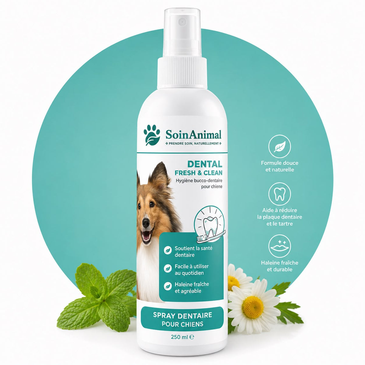 Spray Dentaire pour Chiens – Soin Animal 250 ml